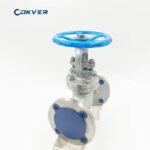 High Quality 316 Stainless Steel Flange Manual Valve with Various Sizes for Steam Applications