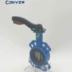 Manual OEM Butterfly Valve Customized Support PTFE Sealing Ring