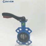 Manual Butterfly Valve Customized Support PTFE Sealing Ring for Water