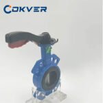 Manual OEM High Temperature Butterfly Valve Customized Support PTFE Sealing Ring