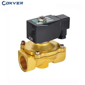 COKVER 2W Brass/Stainless Steel 12V Solenoid Valve