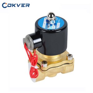 Cokver 2W Vertical Diaphragm Solenoid Valve