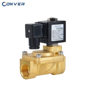 Cokver HT01 Series Pilot-Operated Diaphragm Solenoid Valve